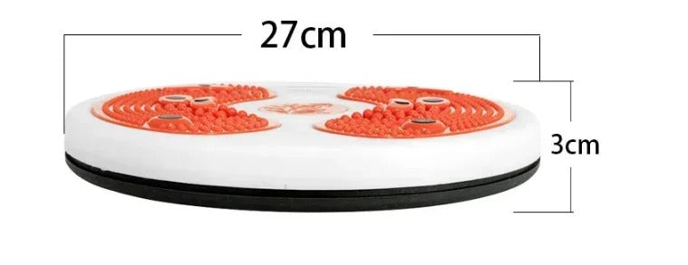 Tummy Twister Waist Losing Disc